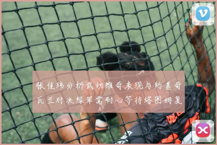 张佳玮分析武切维奇表现与约基奇瓦兰对决绿军需耐心等待塔图姆复出