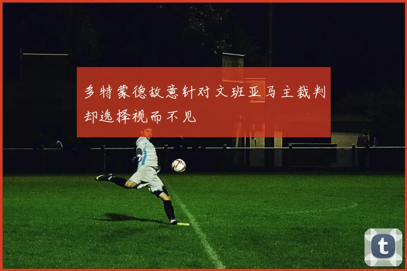 多特蒙德故意针对文班亚马主裁判却选择视而不见